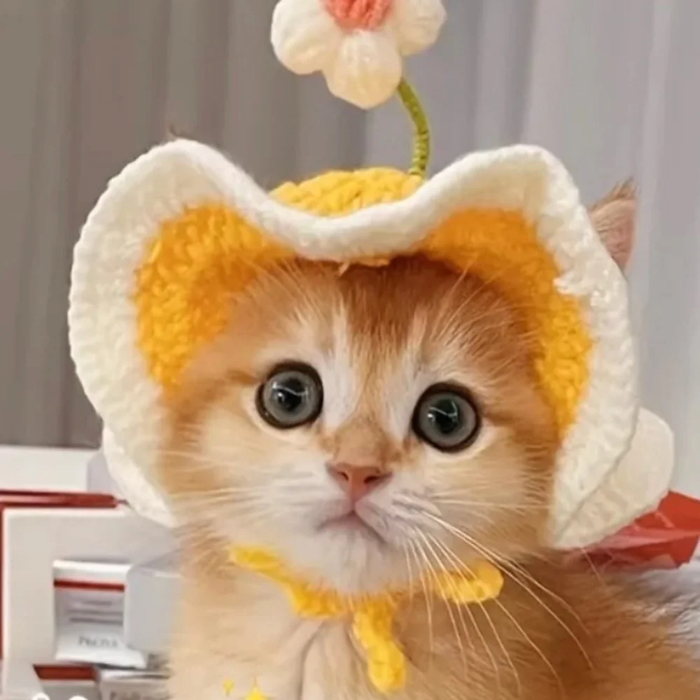 Cat or Dog Crochet Ruffle Sun Hat with Flower - Yellow and White